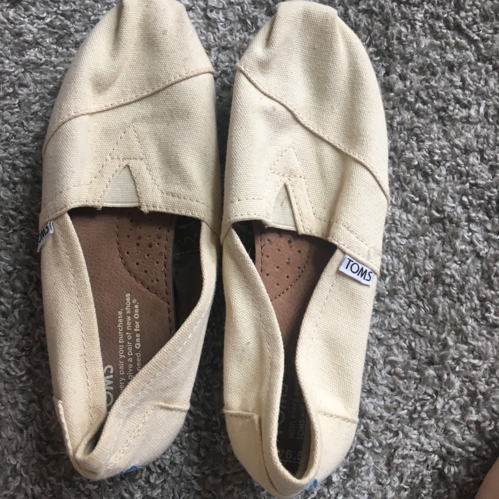 Cream-colored Toms
